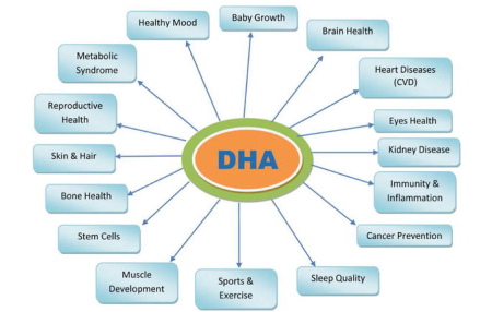 DHA (Docosahexaenoic Acid): A Biomolecule with Diverse Roles and Health Benefits