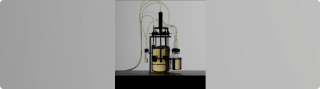 Bioprocess