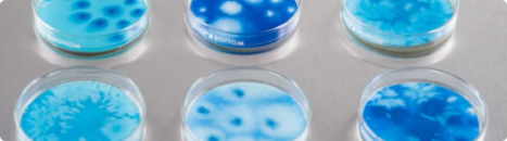 Microbiology